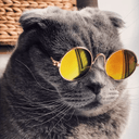 user1110 avatar